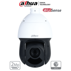 DAHUA SD49225DB-HNY - Cámara IP PTZ de 2 MP/ WizSense/ 25x de Zoom óptic