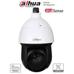 DAHUA SD49825GB-HNR - Cámara IP PTZ de 8 MP / WizSense/ 25x de Zoom ópti